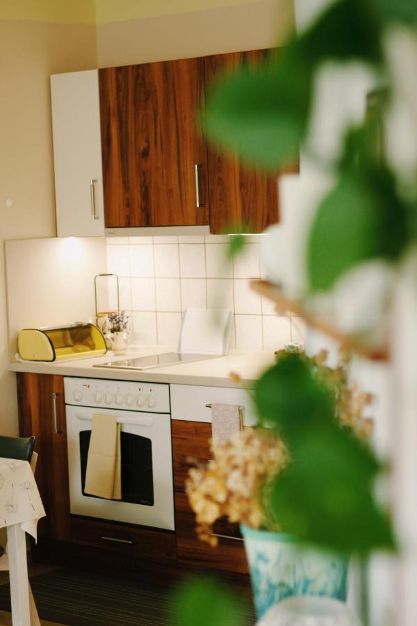Apartman "Pod Rokem" Sušice Εξωτερικό φωτογραφία